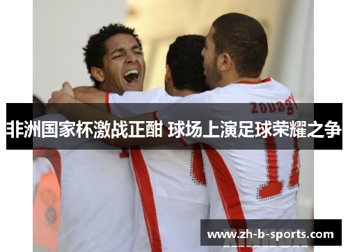 非洲国家杯激战正酣 球场上演足球荣耀之争 非洲国家杯激战正酣 球场上演足球荣耀之争